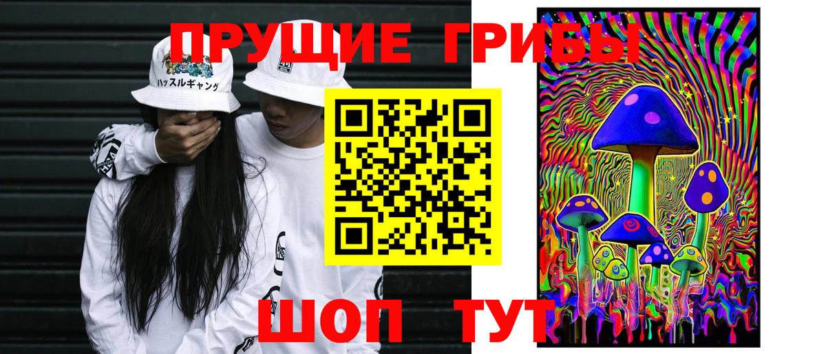 Псилоцибиновые грибы GOLDEN TEACHER Баксан