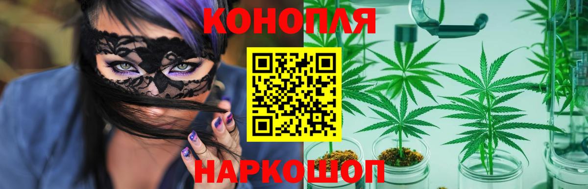 Каннабис сатива  МАРИХУАНА конопля  Канабис Amnesia  Баксан  Канабис планчик  Вход с VPN 